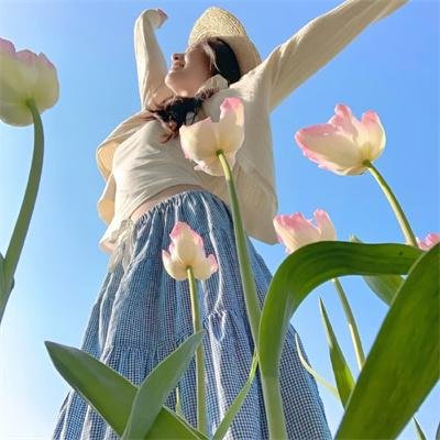 龙非龙凤非凤